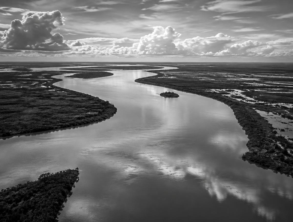 Vista aérea en blanco y negro de un río entre humedales